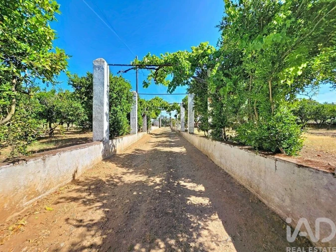 Quinta para Venda em Assunção, Ajuda, Salvador e Santo Ildefonso Foto 38