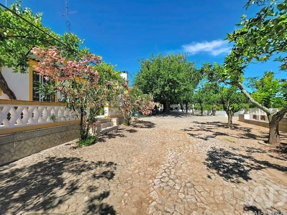 Quinta para Venda em Assunção, Ajuda, Salvador e Santo Ildefonso Foto 1