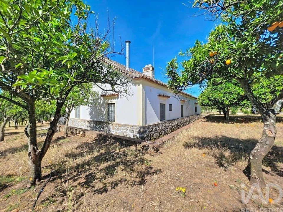 Quinta para Venda em Assunção, Ajuda, Salvador e Santo Ildefonso Foto 26