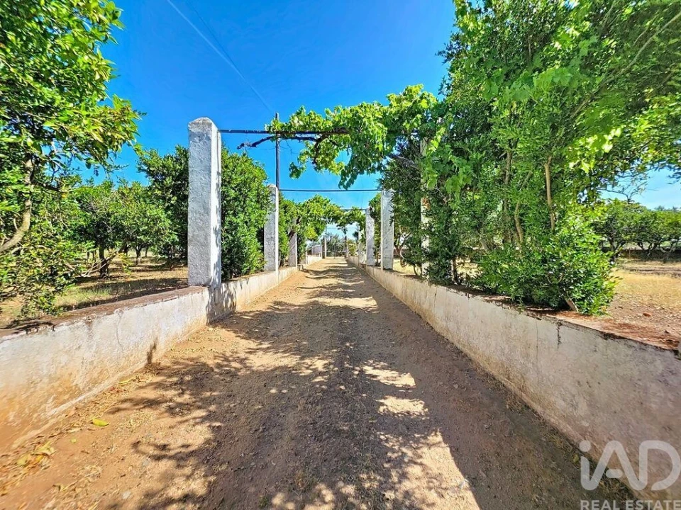 Quinta para Venda em Assunção, Ajuda, Salvador e Santo Ildefonso Foto 38