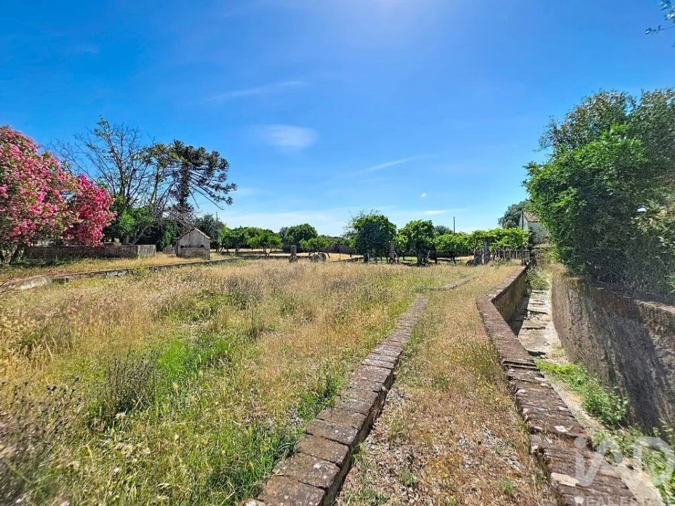 Quinta para Venda em Assunção, Ajuda, Salvador e Santo Ildefonso Foto 39