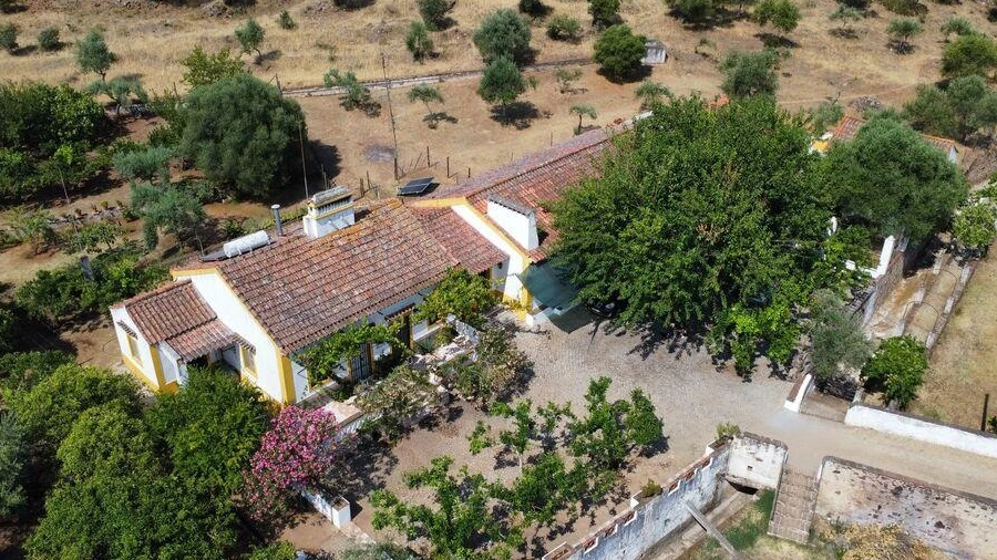 Quinta T5 para Venda em Assunção, Ajuda, Salvador e Santo Ildefonso
