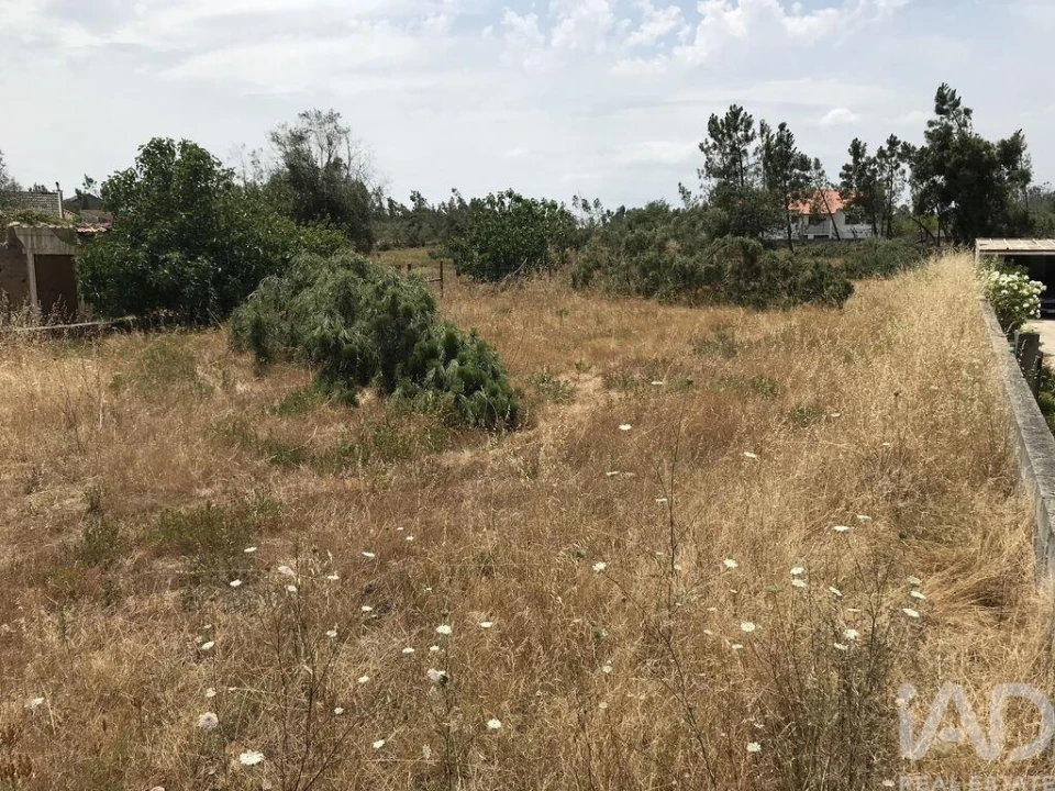 Terreno para Venda em Freixianda, Ribeira do Fárrio e Formigais Foto 3
