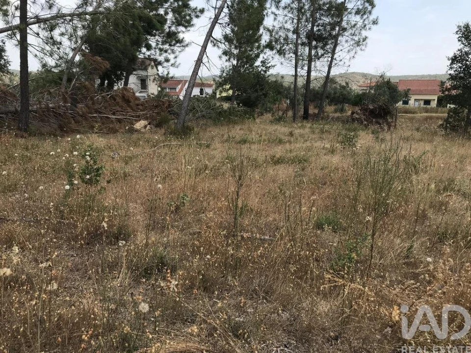 Terreno para Venda em Freixianda, Ribeira do Fárrio e Formigais Foto 25