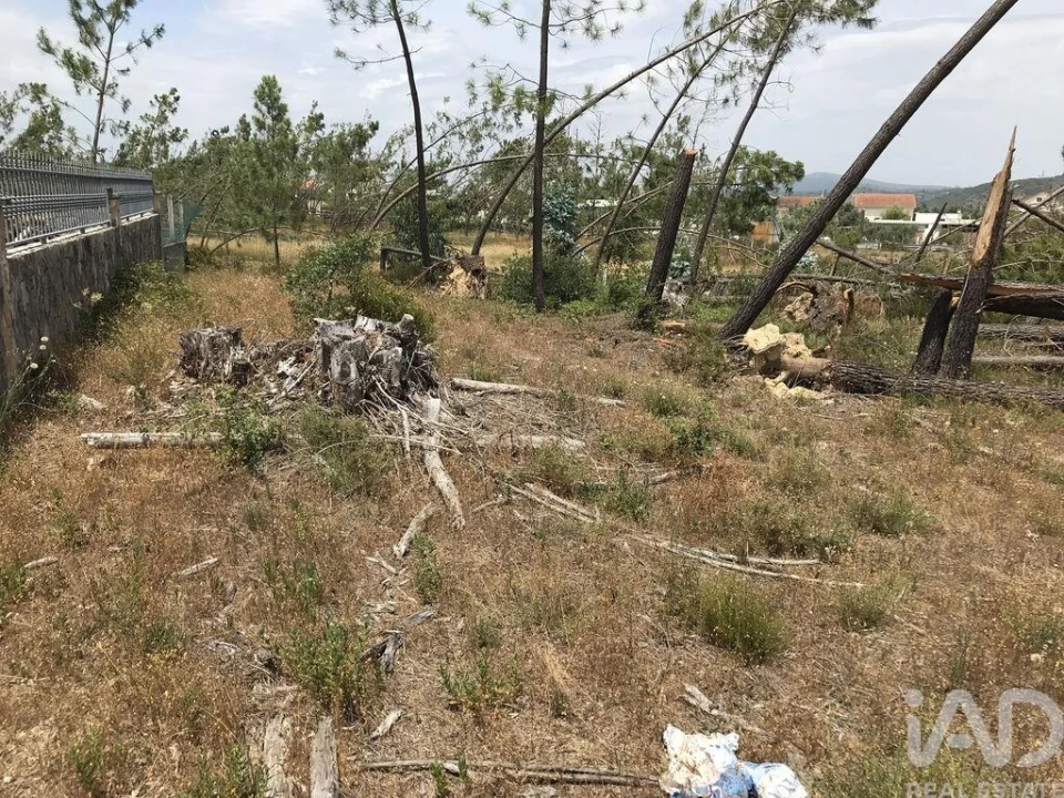 Terreno para Venda em Freixianda, Ribeira do Fárrio e Formigais Foto 23
