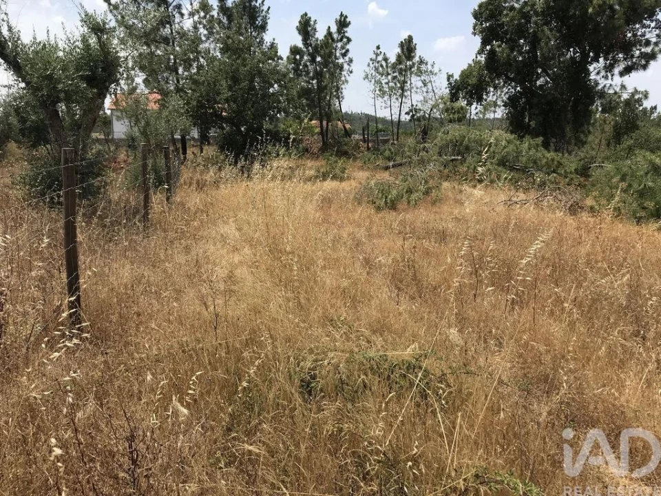 Terreno para Venda em Freixianda, Ribeira do Fárrio e Formigais Foto 6