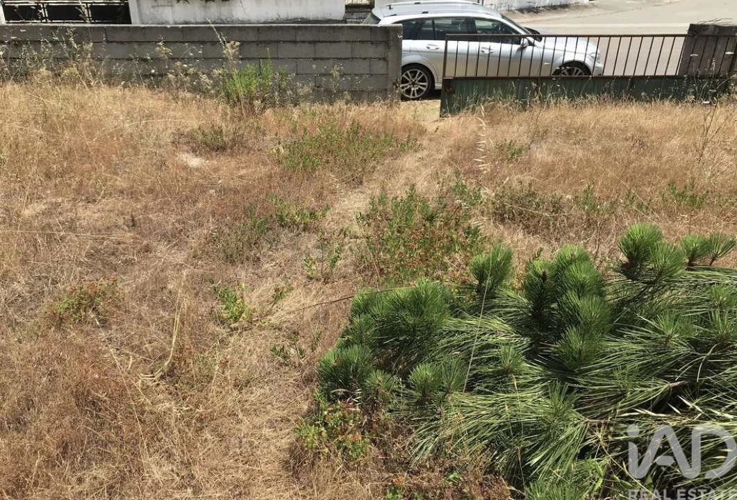 Terreno para Venda em Freixianda, Ribeira do Fárrio e Formigais Foto 27
