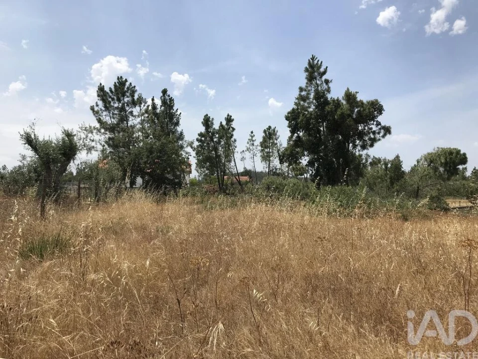 Terreno para Venda em Freixianda, Ribeira do Fárrio e Formigais Foto 1
