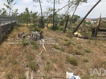 Terreno para Venda em Freixianda, Ribeira do Fárrio e Formigais