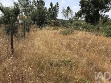Terreno para Venda em Freixianda, Ribeira do Fárrio e Formigais