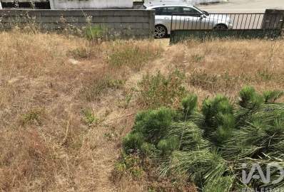 Terreno para Venda em Freixianda, Ribeira do Fárrio e Formigais