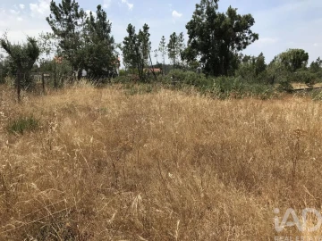 Terreno para Venda em Freixianda, Ribeira do Fárrio e Formigais