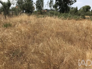 Terreno para Venda em Freixianda, Ribeira do Fárrio e Formigais