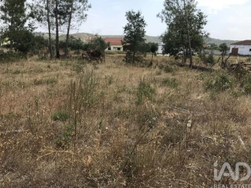Terreno para Venda em Freixianda, Ribeira do Fárrio e Formigais