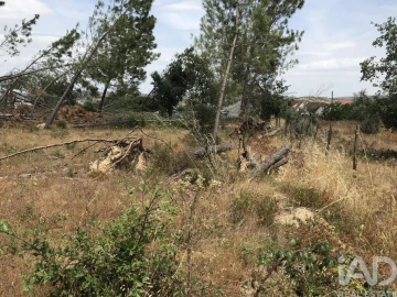 Terreno para Venda em Freixianda, Ribeira do Fárrio e Formigais