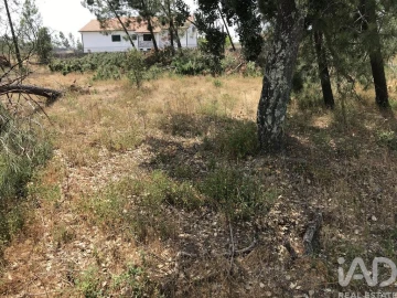 Terreno para Venda em Freixianda, Ribeira do Fárrio e Formigais