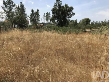 Terreno para Venda em Freixianda, Ribeira do Fárrio e Formigais