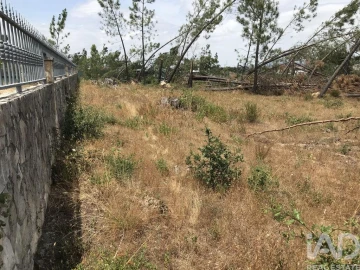 Terreno para Venda em Freixianda, Ribeira do Fárrio e Formigais