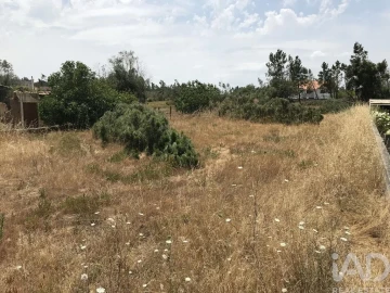 Terreno para Venda em Freixianda, Ribeira do Fárrio e Formigais