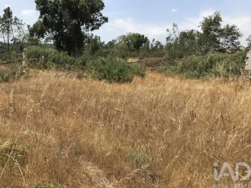 Terreno para Venda em Freixianda, Ribeira do Fárrio e Formigais