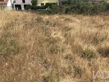 Terreno para Venda em Freixianda, Ribeira do Fárrio e Formigais