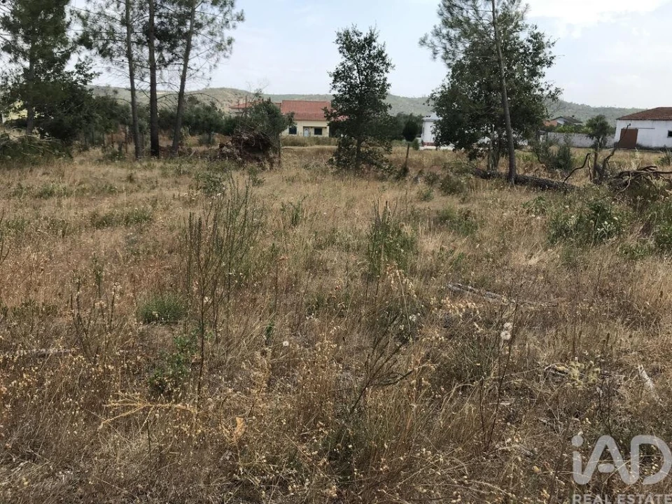 Terreno para Venda em Freixianda, Ribeira do Fárrio e Formigais Foto 24