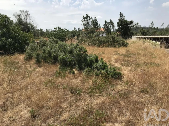 Terreno para Venda em Freixianda, Ribeira do Fárrio e Formigais Foto 7