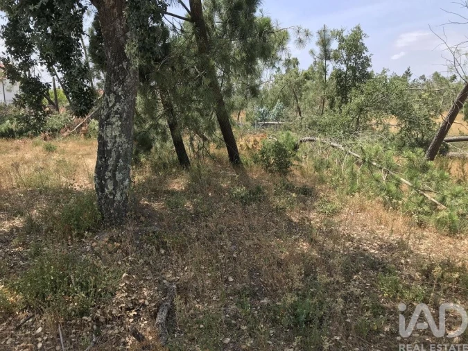 Terreno para Venda em Freixianda, Ribeira do Fárrio e Formigais Foto 18