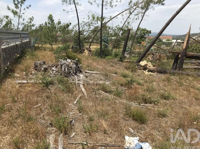 Terreno para Venda em Freixianda, Ribeira do Fárrio e Formigais Foto 23