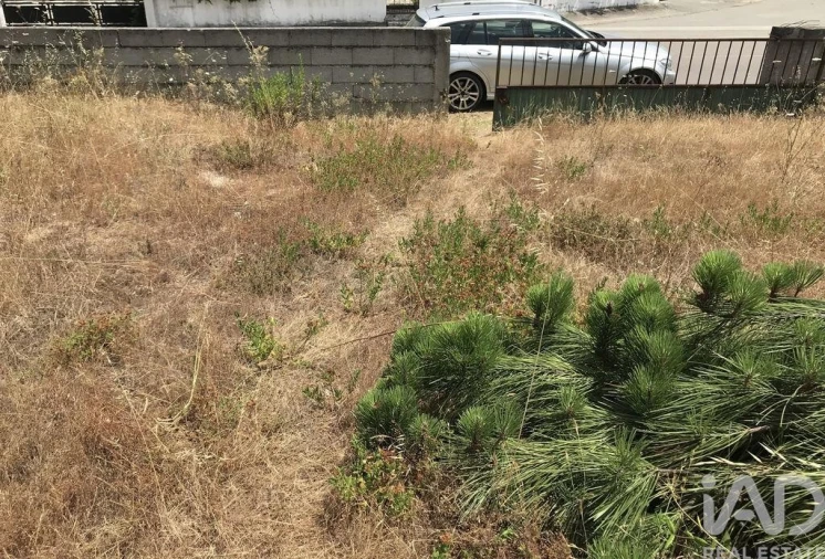 Terreno para Venda em Freixianda, Ribeira do Fárrio e Formigais Foto 27