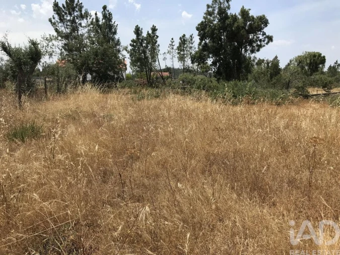 Terreno para Venda em Freixianda, Ribeira do Fárrio e Formigais Foto 8