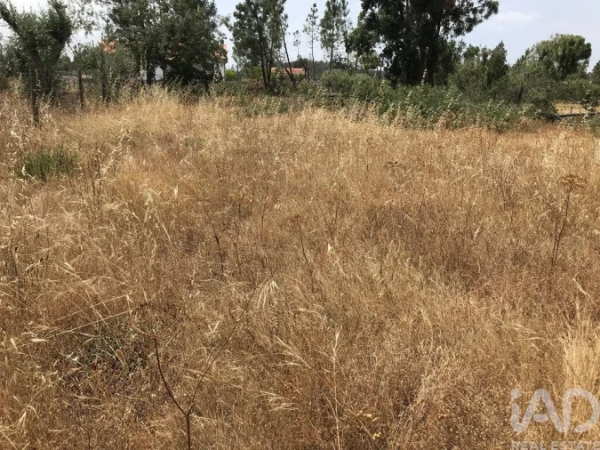 Terreno para Venda em Freixianda, Ribeira do Fárrio e Formigais Foto 4