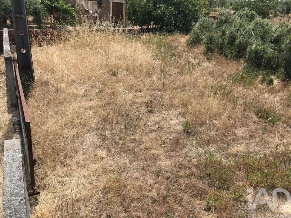 Terreno para Venda em Freixianda, Ribeira do Fárrio e Formigais Foto 13
