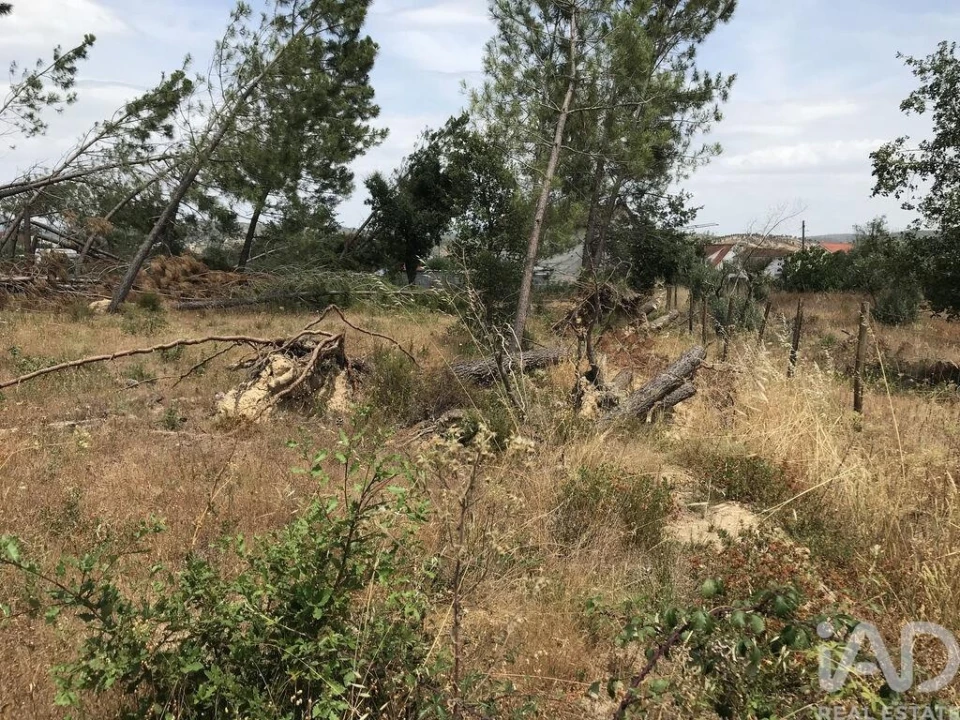 Terreno para Venda em Freixianda, Ribeira do Fárrio e Formigais Foto 22