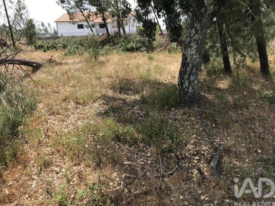 Terreno para Venda em Freixianda, Ribeira do Fárrio e Formigais Foto 20
