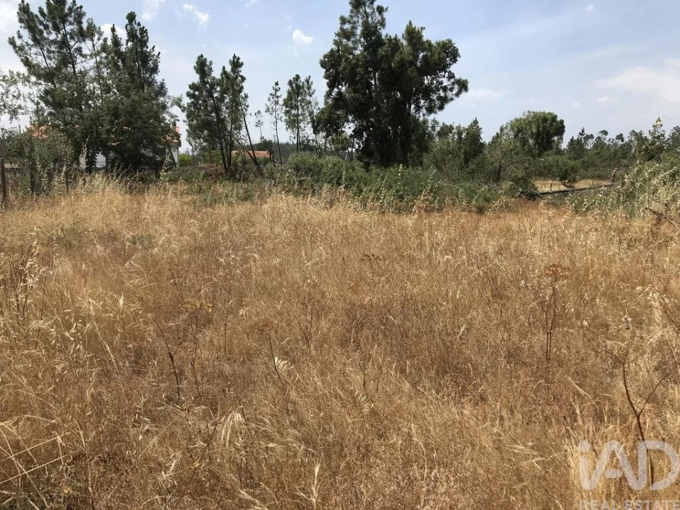 Terreno para Venda em Freixianda, Ribeira do Fárrio e Formigais Foto 9
