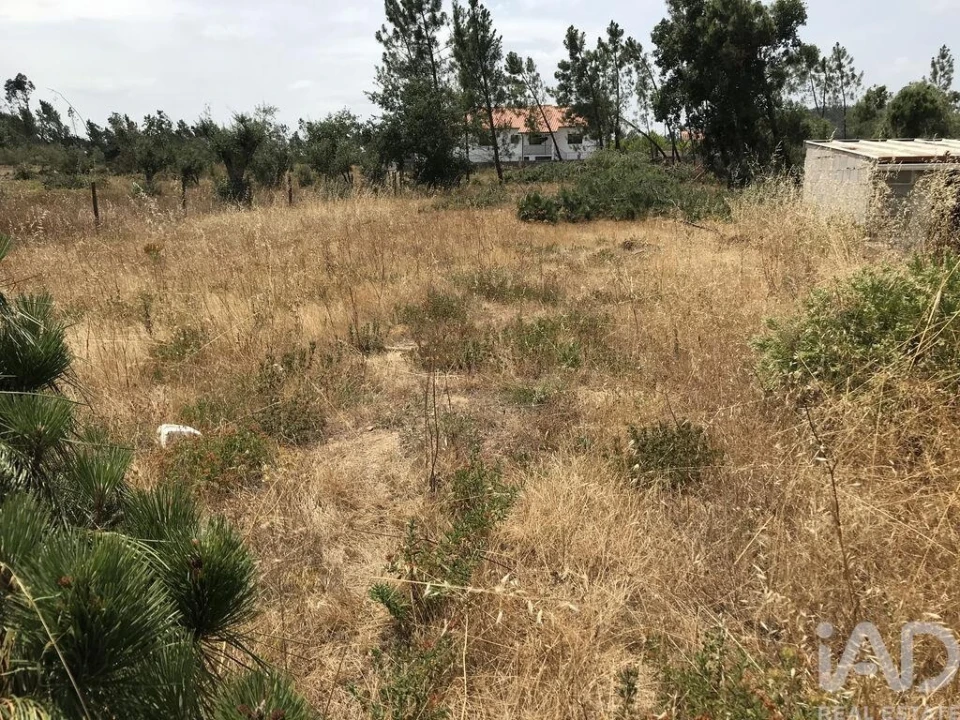 Terreno para Venda em Freixianda, Ribeira do Fárrio e Formigais Foto 11