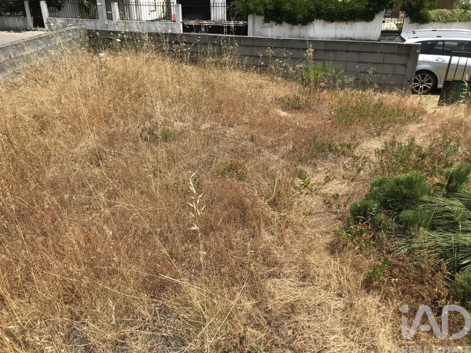 Terreno para Venda em Freixianda, Ribeira do Fárrio e Formigais Foto 14