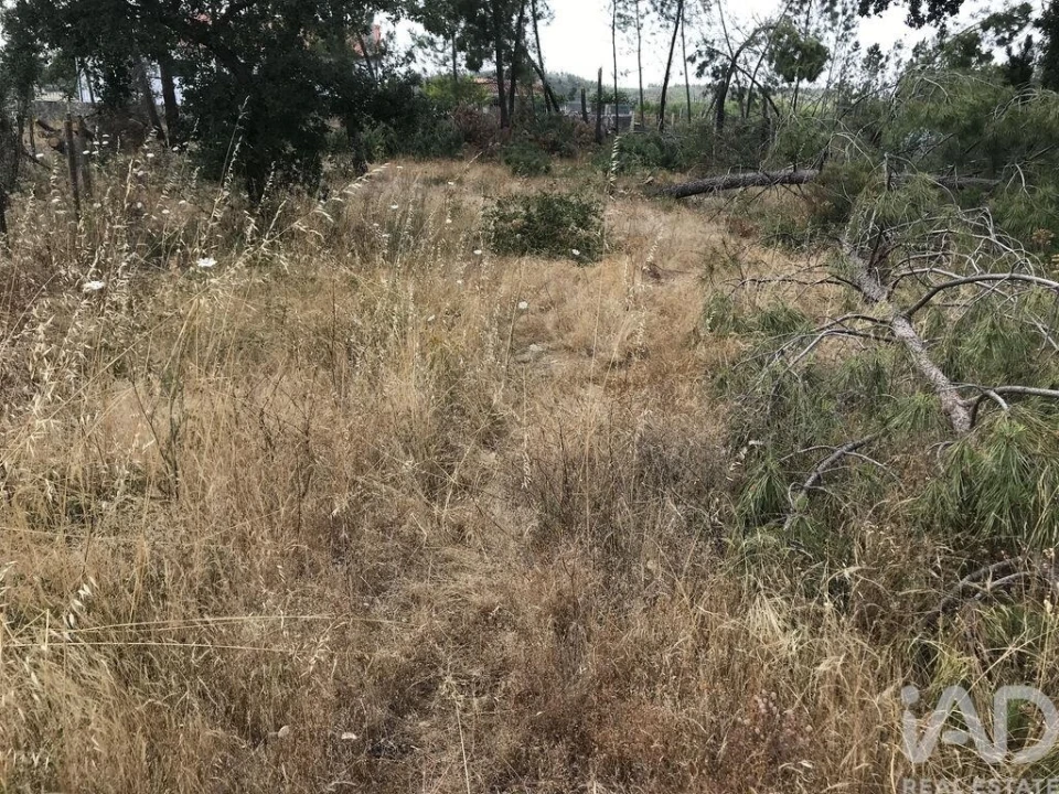 Terreno para Venda em Freixianda, Ribeira do Fárrio e Formigais Foto 10