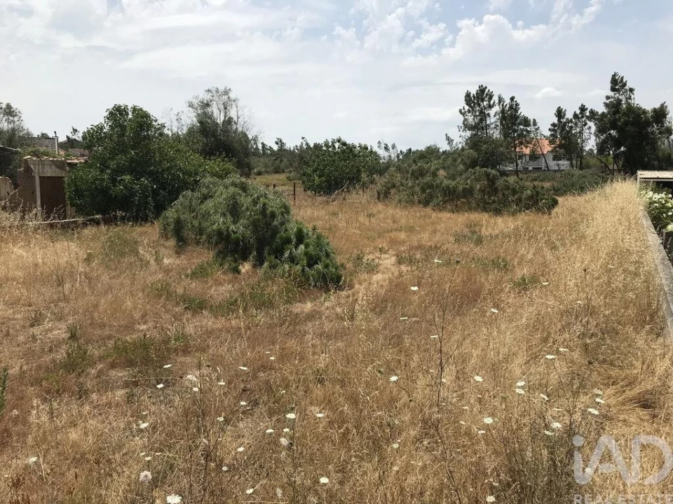 Terreno para Venda em Freixianda, Ribeira do Fárrio e Formigais Foto 2