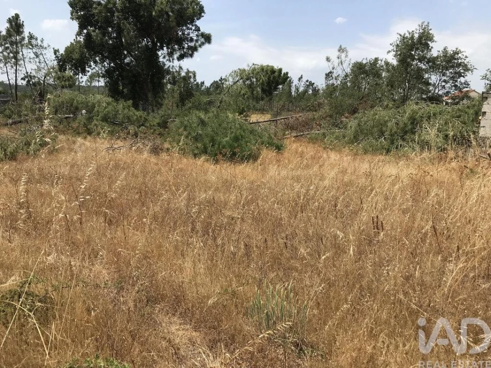 Terreno para Venda em Freixianda, Ribeira do Fárrio e Formigais Foto 5