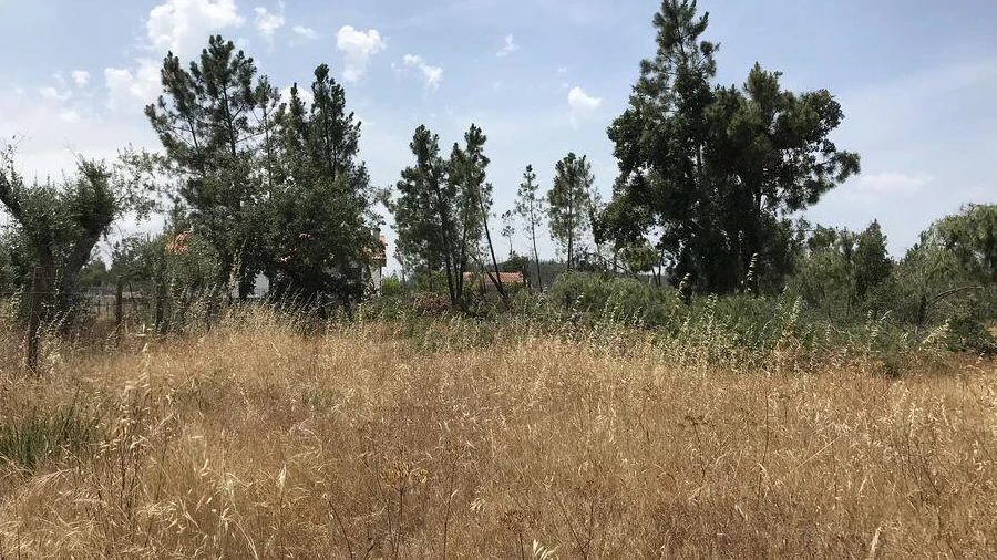 Terreno para Venda em Freixianda, Ribeira do Fárrio e Formigais