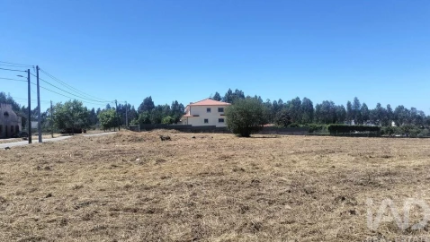 Terreno para Venda em Canas de Santa Maria
