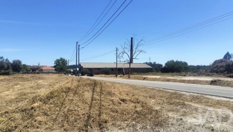 Terreno para Venda em Canas de Santa Maria