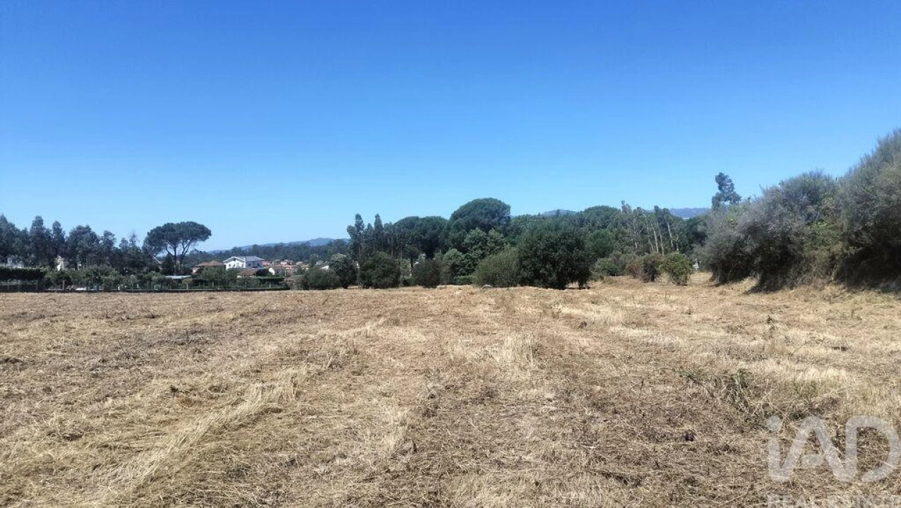 Terreno para Venda em Canas de Santa Maria Foto 39