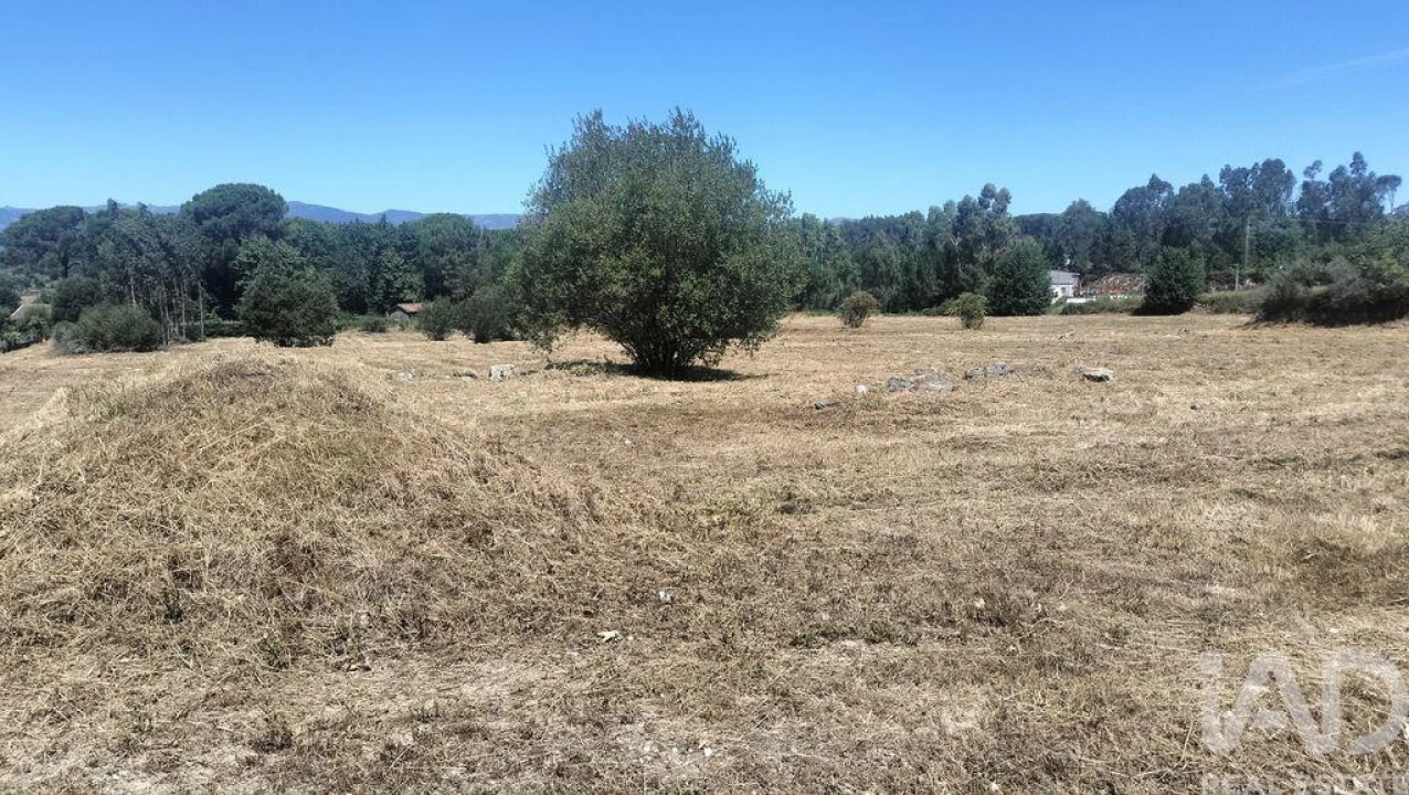 Terreno para Venda em Canas de Santa Maria Foto 21