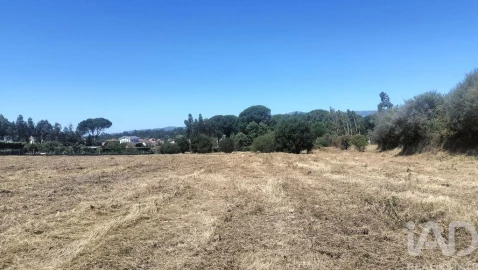 Terreno para Venda em Canas de Santa Maria