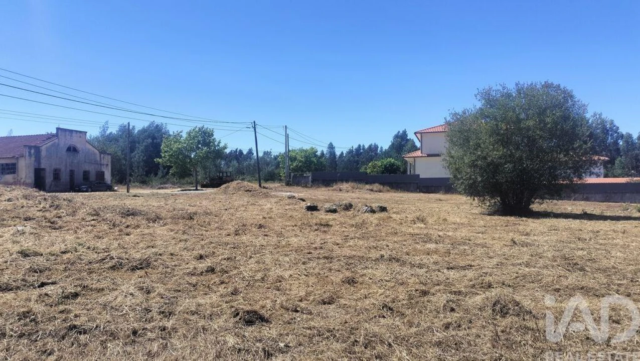 Terreno para Venda em Canas de Santa Maria Foto 16