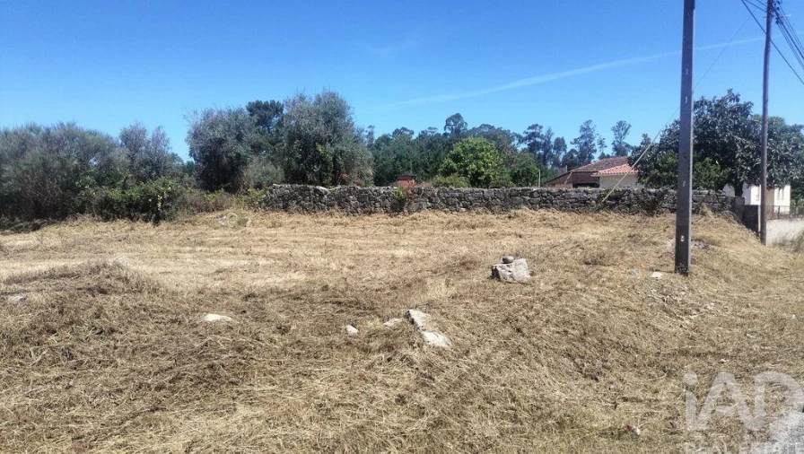 Terreno para Venda em Canas de Santa Maria Foto 4