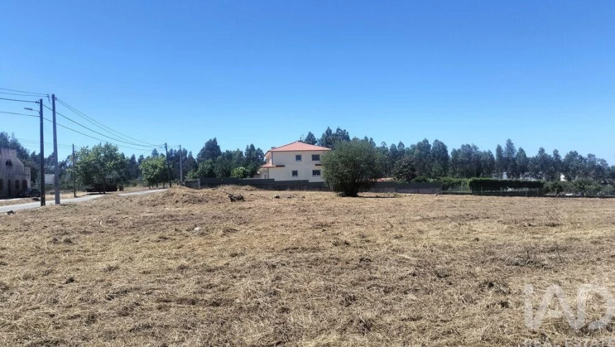 Terreno para Venda em Canas de Santa Maria Foto 13